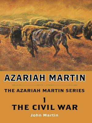 cover image of The Civil War